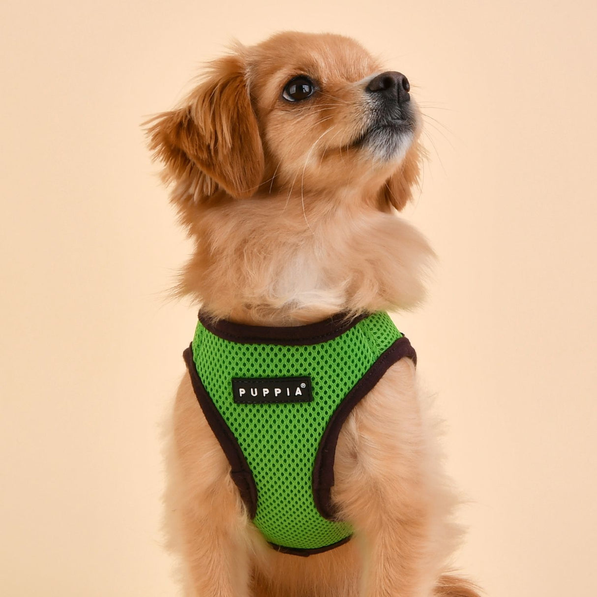 Puppia Soft Vest Harness II model B Green hondentuig > honden harnas > model B Small