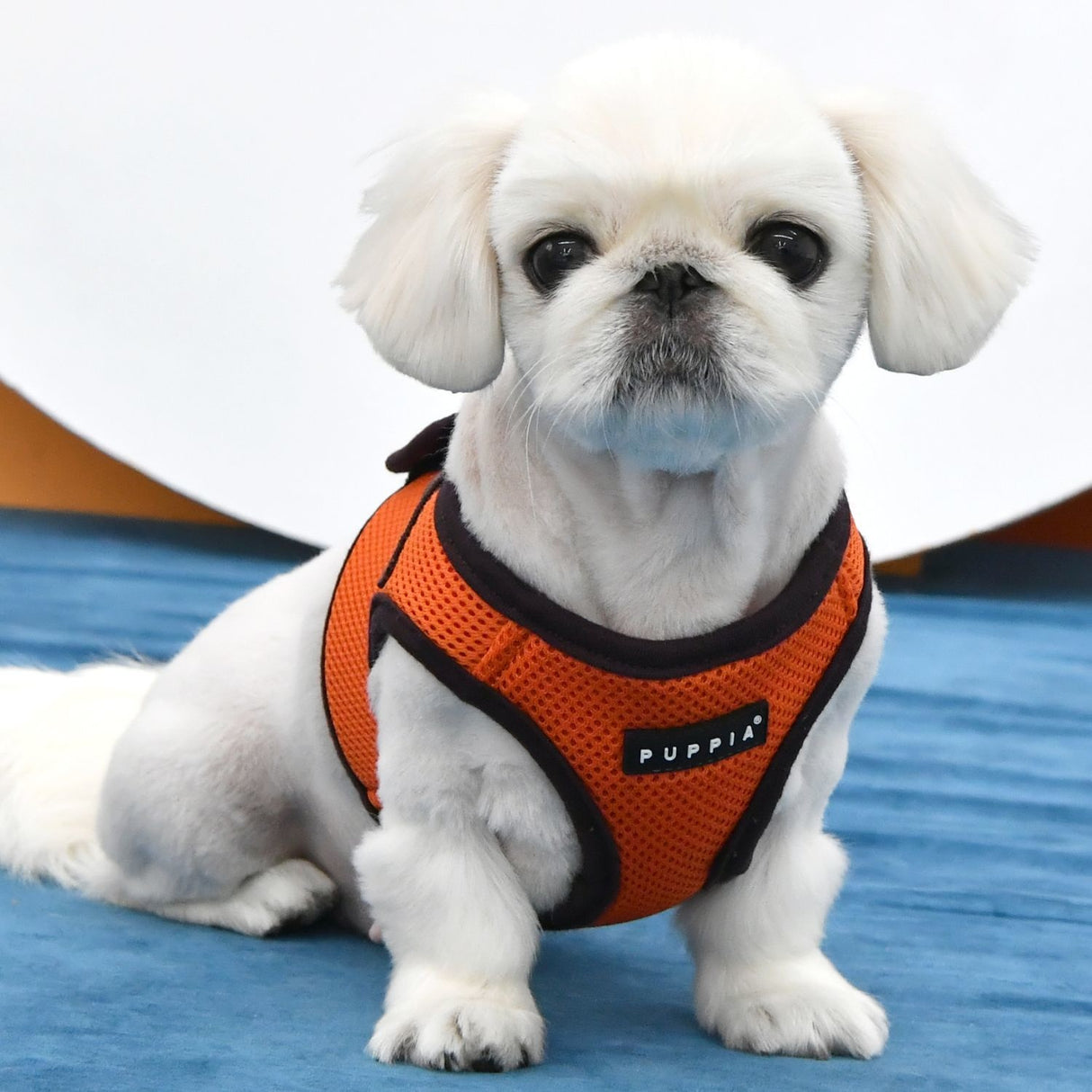 Puppia Soft Vest Harness II model B Orange hondentuig > honden harnas > model B Small
