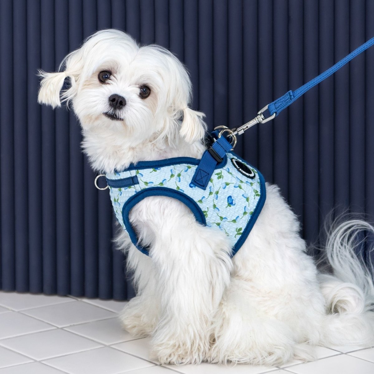 Puppia Florian Vest Harness model B Blue hondentuig > honden harnas > model B Small