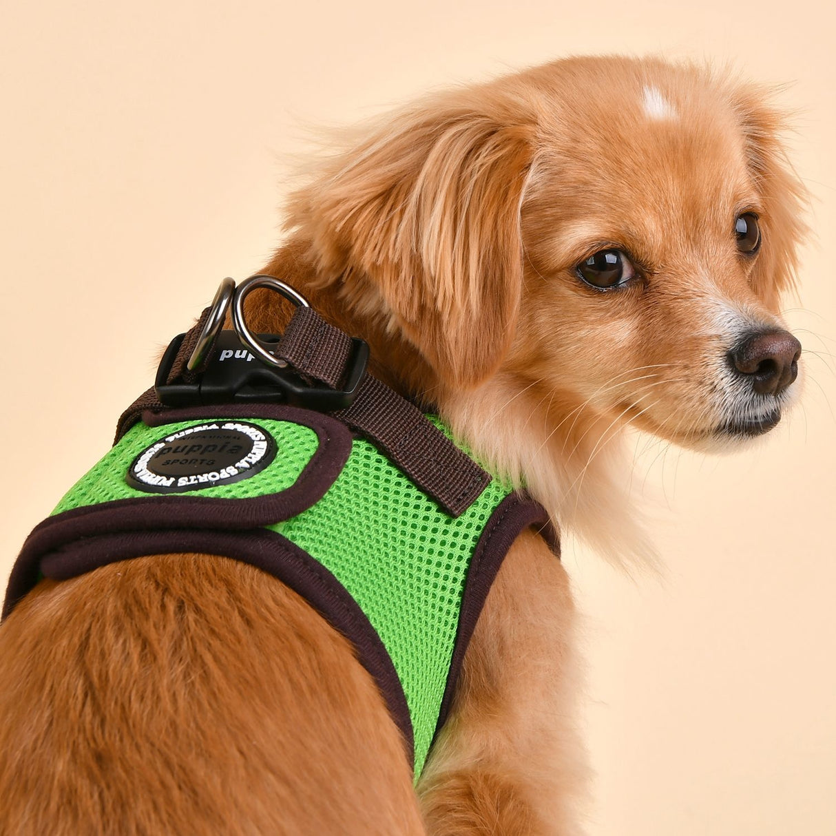 Puppia Soft Vest Harness II model B Green hondentuig > honden harnas > model B Small