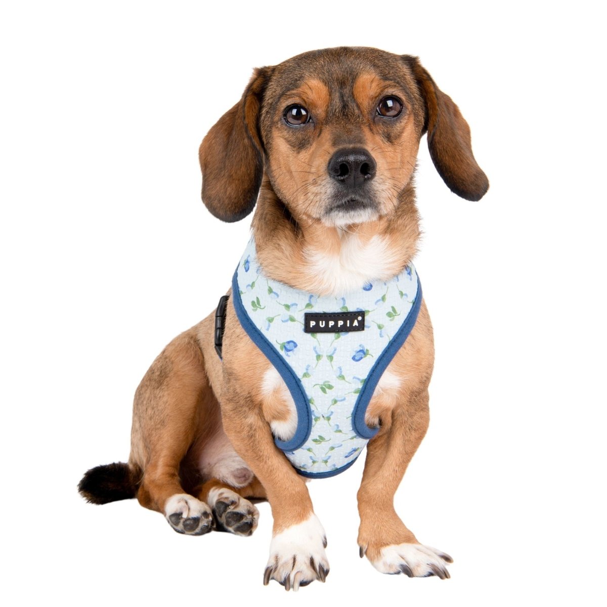 Puppia Florian Harness Model A Blue hondentuig > honden harnas > model A Small