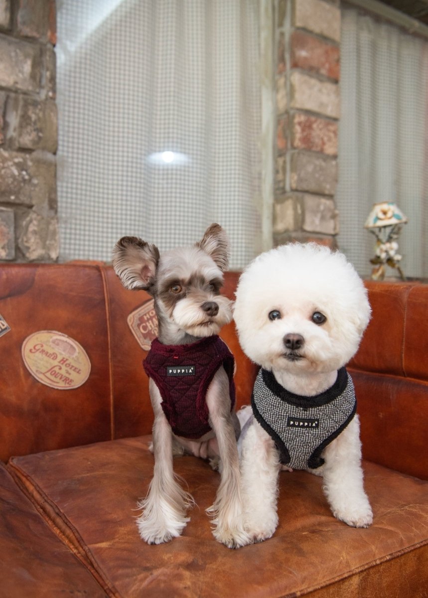 Puppia Gaspar Harness Model A Black hondentuig > honden harnas > model A Small