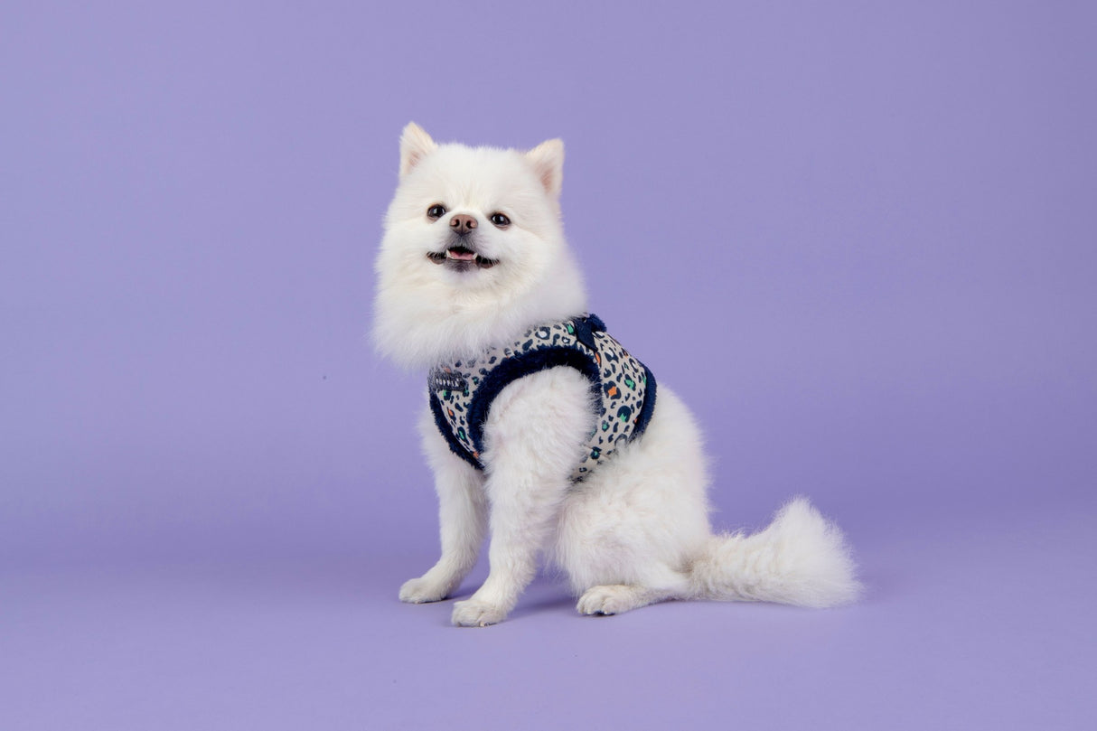 Puppia Elyse Vest Harness model B Navy - Premium hondentuig > honden harnas from Puppia - Just €20! Shop now at Frenkiezdogshop