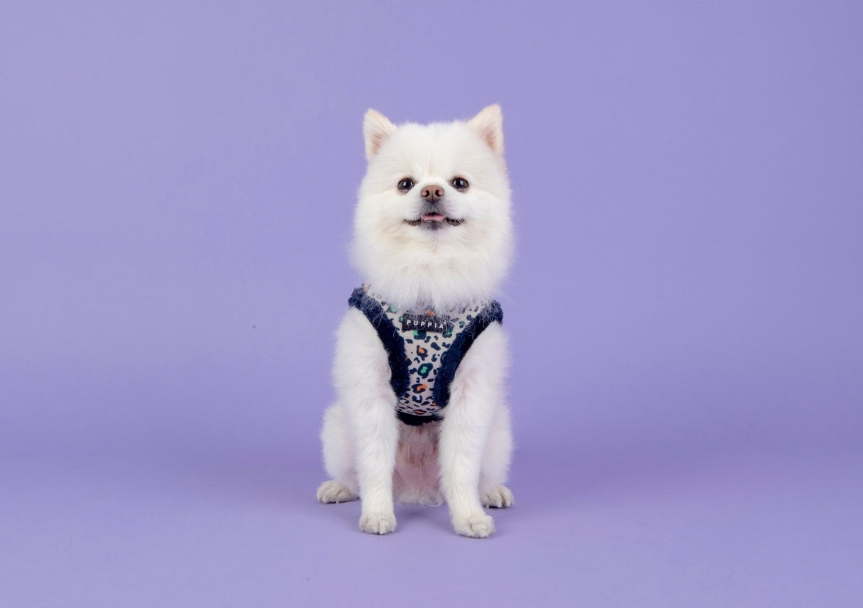 Puppia Elyse Vest Harness model B Navy - Premium hondentuig > honden harnas from Puppia - Just €20! Shop now at Frenkiezdogshop