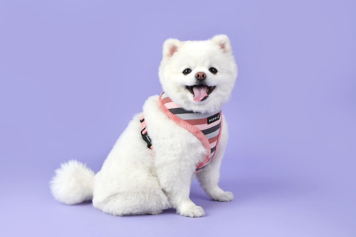 Puppia Bryson Harness Model A Indian Pink - Premium hondentuig > honden harnas from Puppia - Just €20! Shop now at Frenkiezdogshop