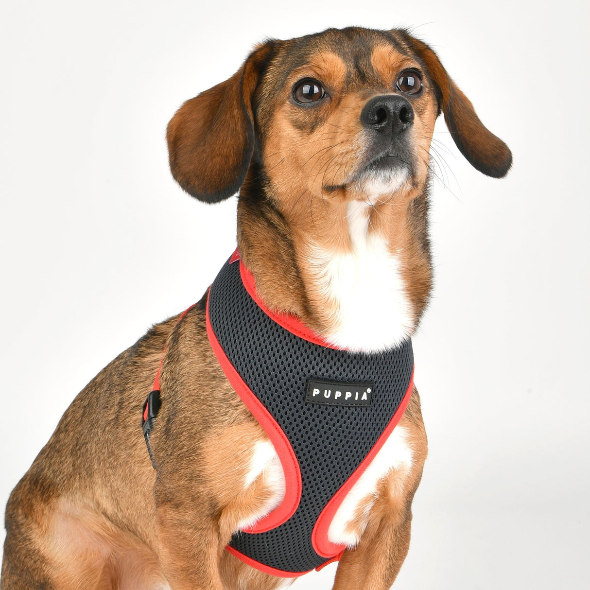 Puppia Soft Harness II model A Grey hondentuig > honden harnas > model A Small