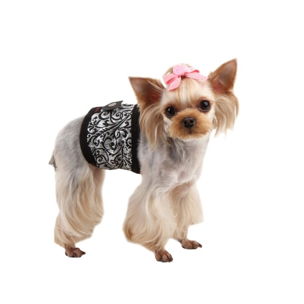 Puppia Gent's Manner Band Black ALLEEN XL - Premium Plasband > Manner band from Puppia - Just €10! Shop now at Frenkiezdogshop