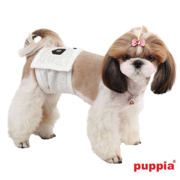 Puppia Gent's Manner Band white - Premium Plasband > Manner band from Puppia - Just €10! Shop now at Frenkiezdogshop