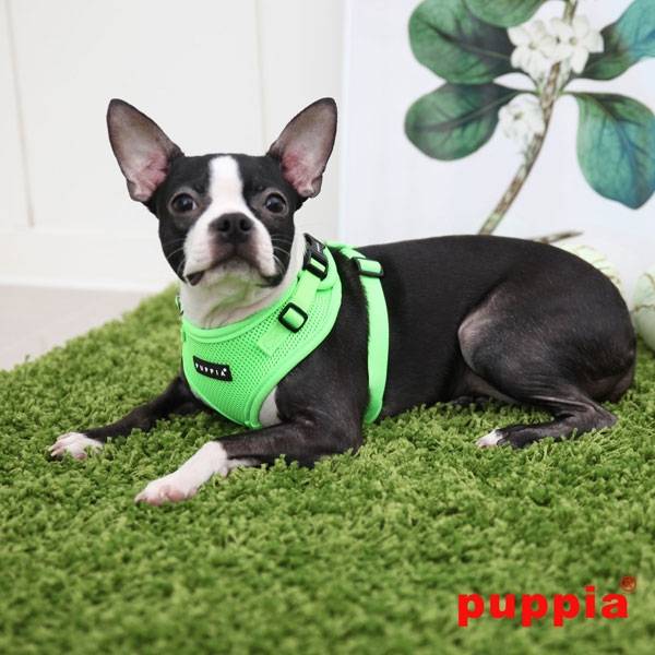 Puppia Neon Soft Harness Ritefit II Green hondentuig > honden harnas > model A Small