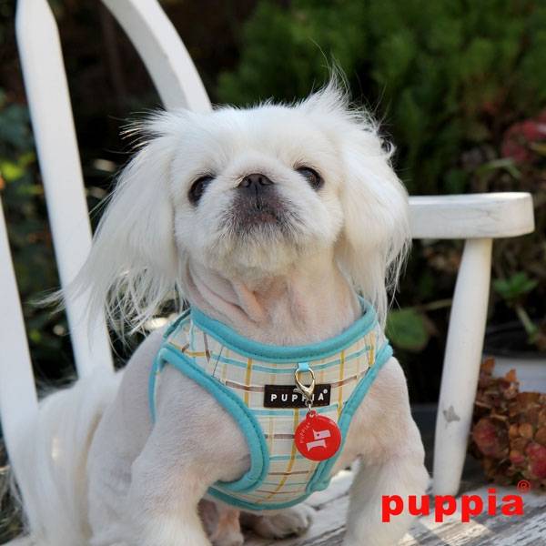 Puppia Tot Harness model B Aqua ( Alleen Small ) - Premium hondentuig > honden harnas from Puppia - Just €20! Shop now at Frenkiezdogshop