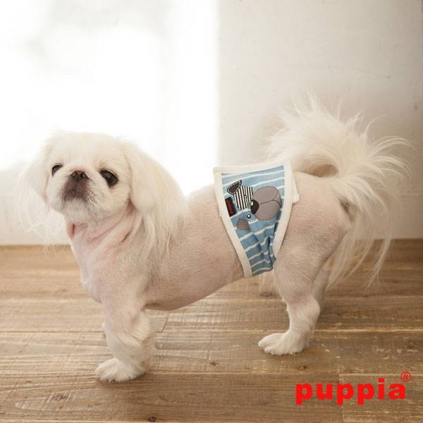 Puppia Manner Band Boomer Blue Plasband > Manner band Small