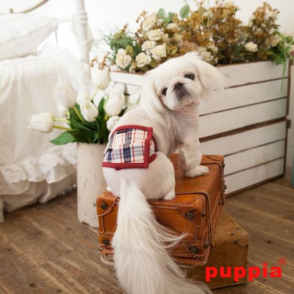 Puppia Manner Band Vogue Beige - Premium Plasband > Manner band from Puppia - Just €10! Shop now at Frenkiezdogshop