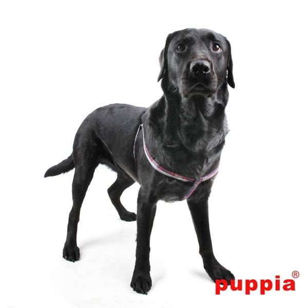 Puppia Vogue Harness X Navy ( LARGE ) hondentuig > honden harnas > overige modellen Medium