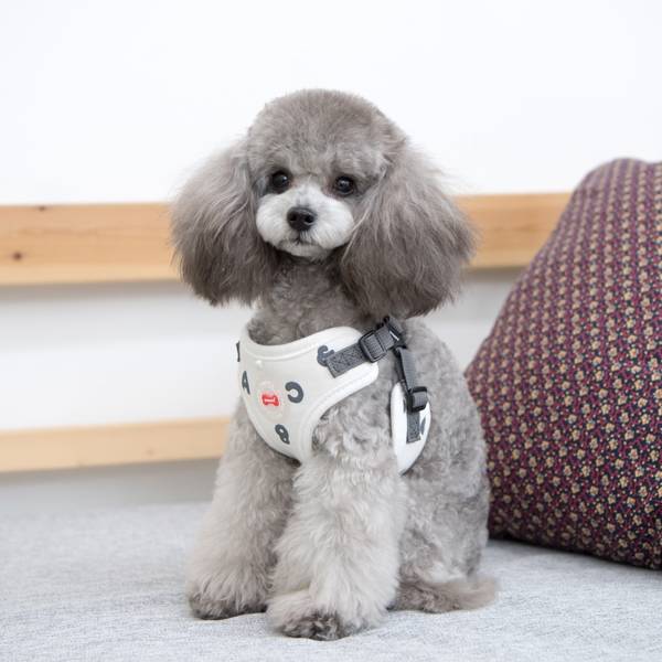 Puppia Algo Harness model C White hondentuig > honden harnas > model C Small