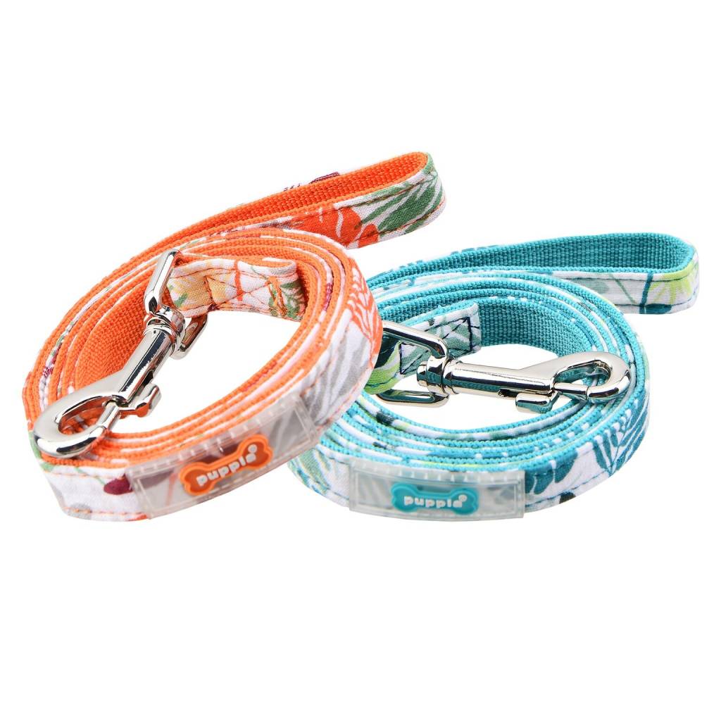 Puppia Rowan Lijn Aqua - Premium hondenriem > hondenlijn from Puppia - Just €10! Shop now at Frenkiezdogshop
