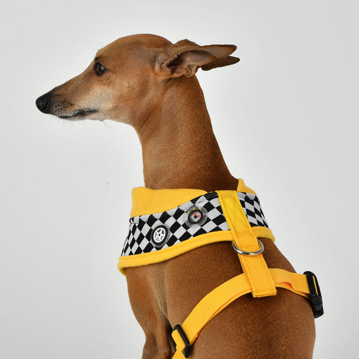 Puppia Racer Harness Model A Yellow hondentuig > honden harnas > model A Small