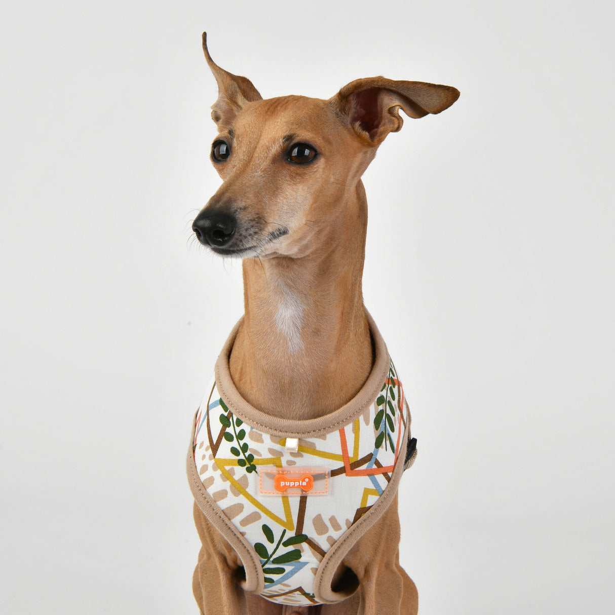 Puppia Botanical Harness Model A Beige - Premium hondentuig > honden harnas from Puppia - Just €20! Shop now at Frenkiezdogshop