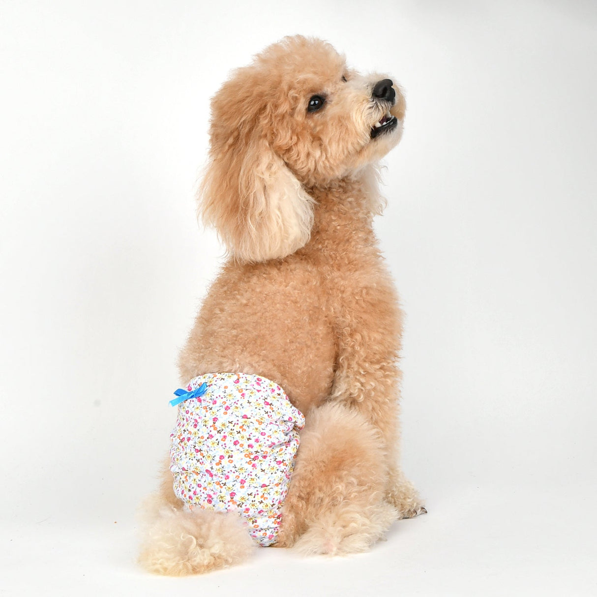 Puppia Loopsheidbroekje Wildflower Sky Blue - Premium Loopsheidbroekje > Periodebroekje from Puppia - Just €10! Shop now at Frenkiezdogshop