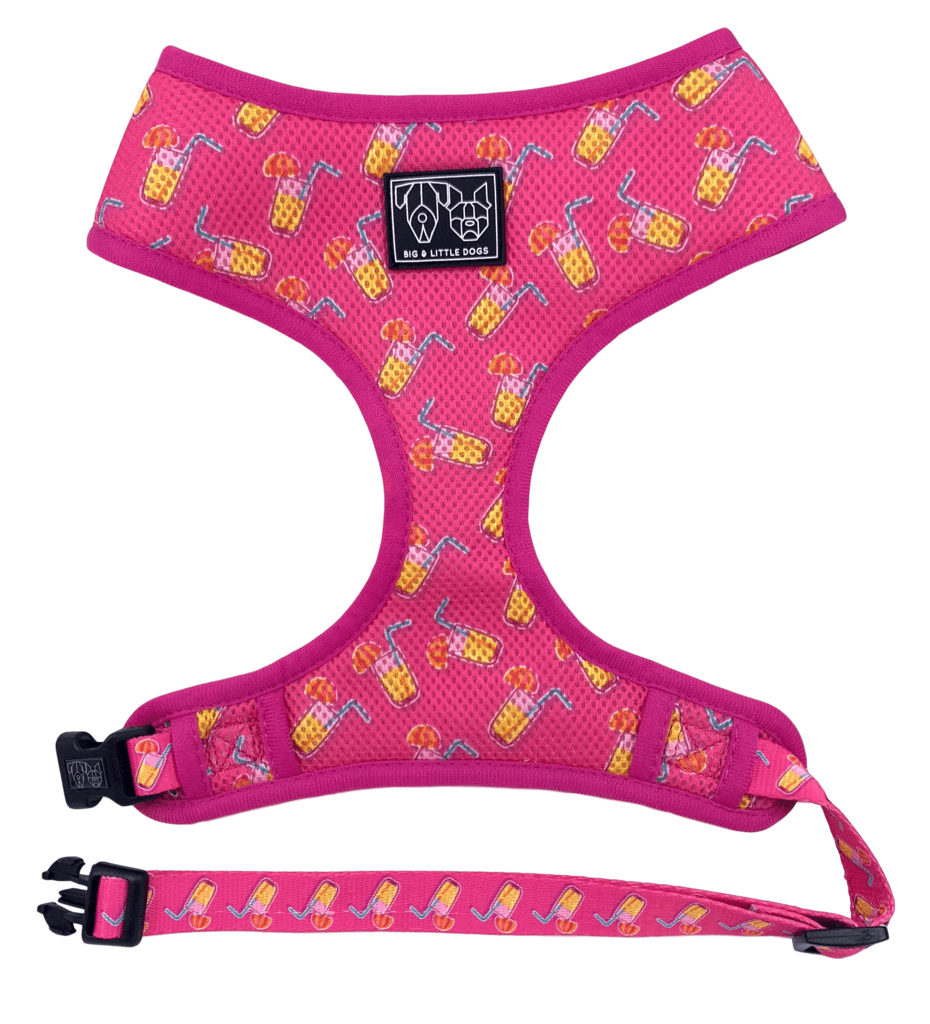 Big & Little Dogs Classic Harness Pawty Punch - Premium hondentuig > honden harnas from Big and Little Dogs - Just €10! Shop now at Frenkiezdogshop