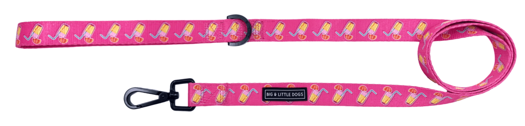 Big and Little Dogs Lijn Pawty Punch - Premium hondenriem > hondenlijn from Big and Little Dogs - Just €10! Shop now at Frenkiezdogshop
