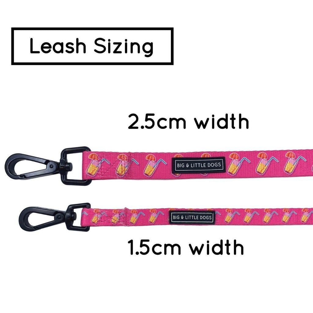 Big and Little Dogs Lijn Pawty Punch - Premium hondenriem > hondenlijn from Big and Little Dogs - Just €10! Shop now at Frenkiezdogshop