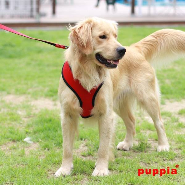 Puppia Soft Harness model A red hondentuig > honden harnas > model A X - Small