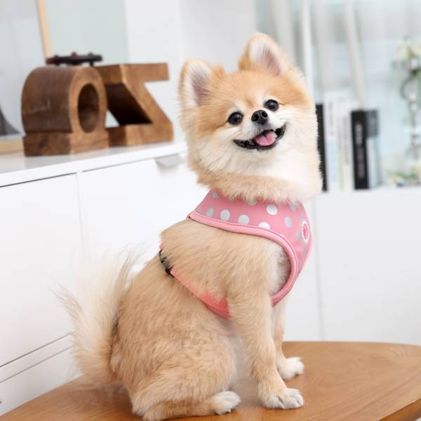 Pinkaholic Chic Harness Pink hondentuig > honden harnas > model A X - Small