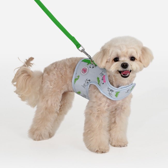 Pinkaholic Kiki Pinka Harness J Light Blue – Katoenen Hondenjas voor Kleine Honden hondentuig > honden harnas > model B Small