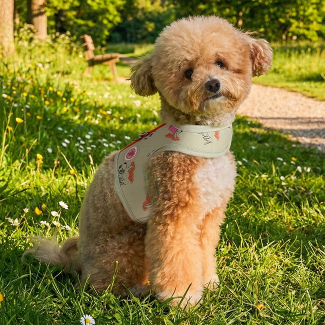 Pinkaholic Kiki Pinka Harness J Light Lime – Katoenen Hondenjas voor Kleine Honden hondentuig > honden harnas > model B Small