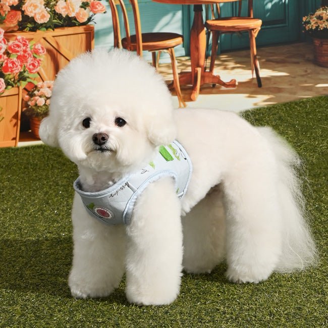 Pinkaholic Kiki Vest Harness Light Blue – Zacht Katoenen Hondentuigje voor Kleine Honden hondentuig > honden harnas > model B Small