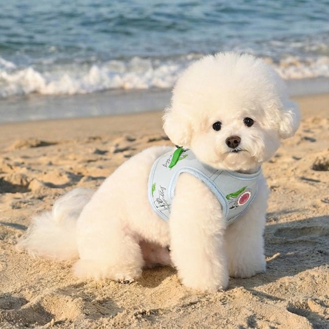 Pinkaholic Kiki Vest Harness Light Blue – Zacht Katoenen Hondentuigje voor Kleine Honden hondentuig > honden harnas > model B Small