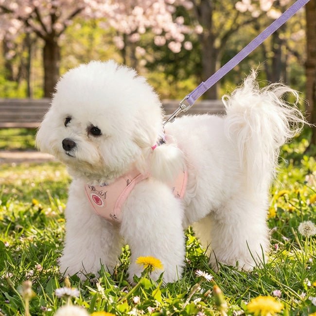 Pinkaholic Kiki Vest Harness Light Pink – Zacht Katoenen Hondentuigje voor Kleine Honden hondentuig > honden harnas > model B Small