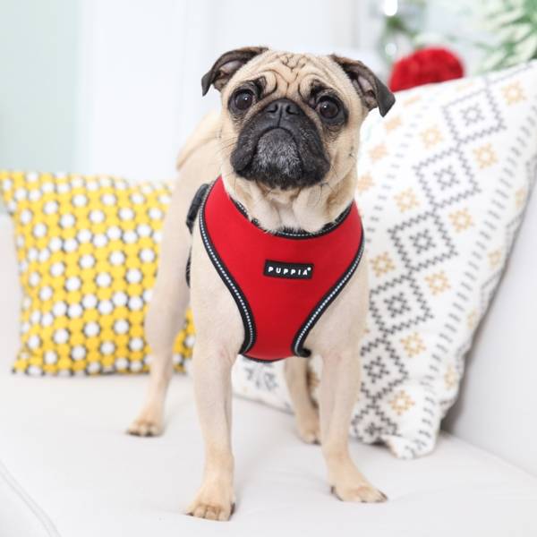 Puppia Trek Harness model A Red - Premium hondentuig > honden harnas from Puppia - Just €20! Shop now at Frenkiezdogshop