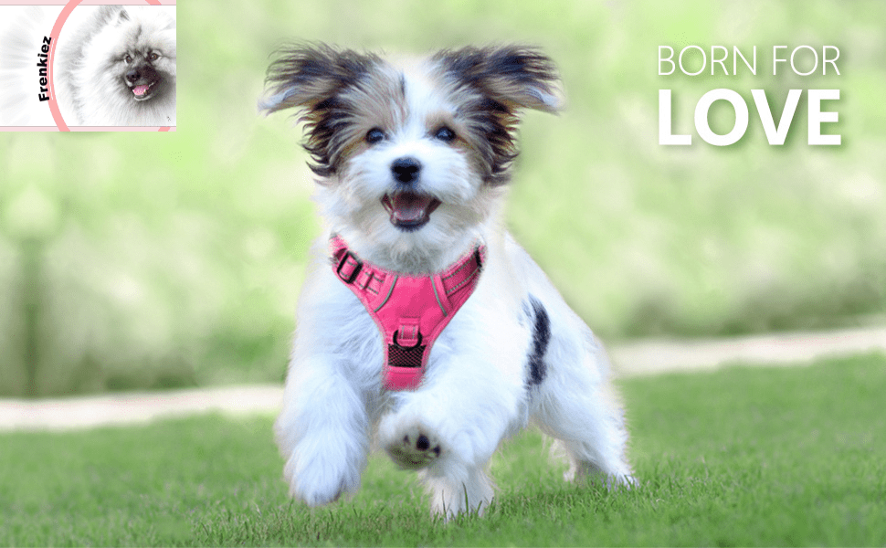 Frenkiez Y tuig dogharness reflective Pink ( matching straps ) hondentuig > honden harnas > Y tuigen Small