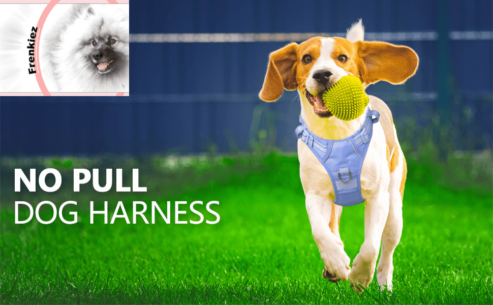 Frenkiez Y tuig dogharness reflective ( matching straps ) Light Blue hondentuig > honden harnas > Y tuigen Small