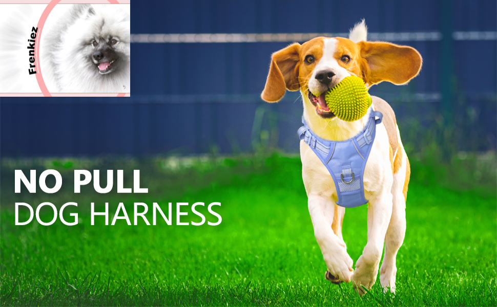 Frenkiez Y tuig dogharness reflective ( matching straps ) Light Blue - Premium hondentuig > honden harnas from Frenkiez - Just €34.99! Shop now at Frenkiezdogshop