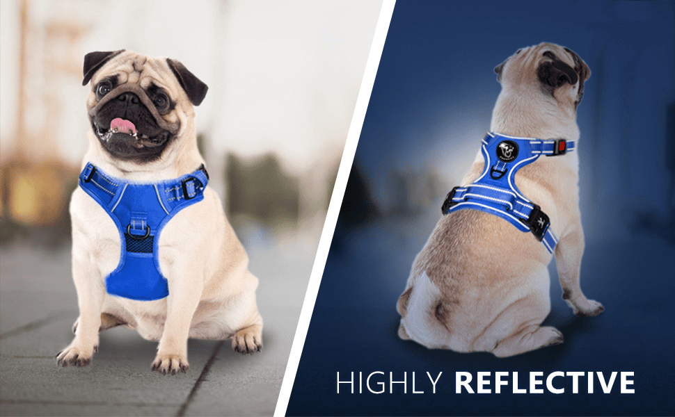 Frenkiez Y tuig dogharness reflective Royal Blue ( matching straps ) hondentuig > honden harnas > Y tuigen Small