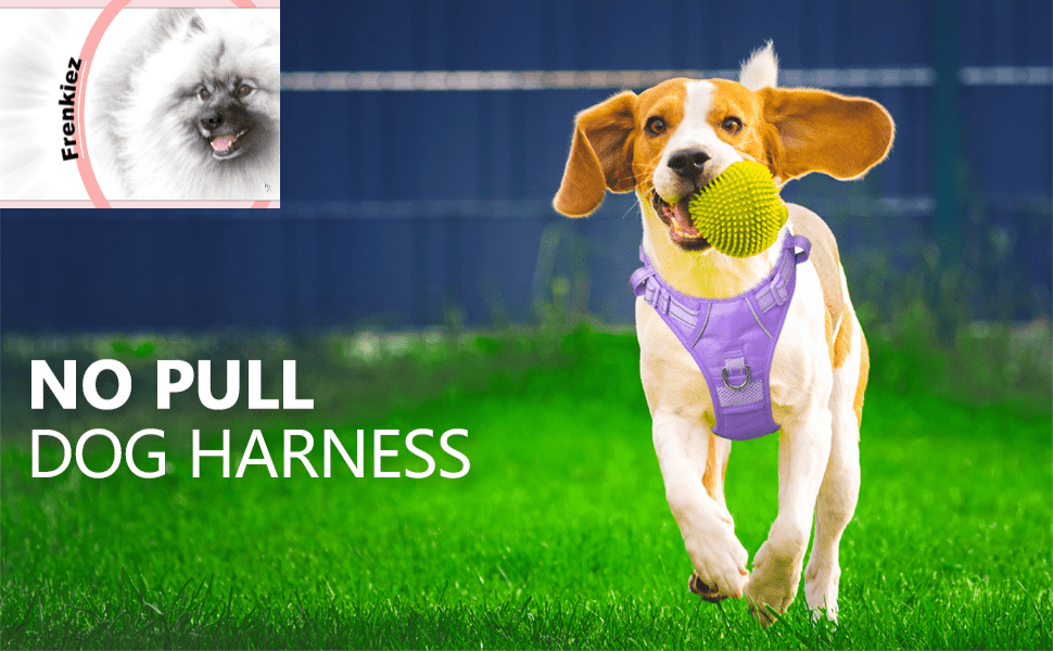 Frenkiez Y tuig dogharness reflective Lila ( matching straps ) hondentuig > honden harnas > Y tuigen Small