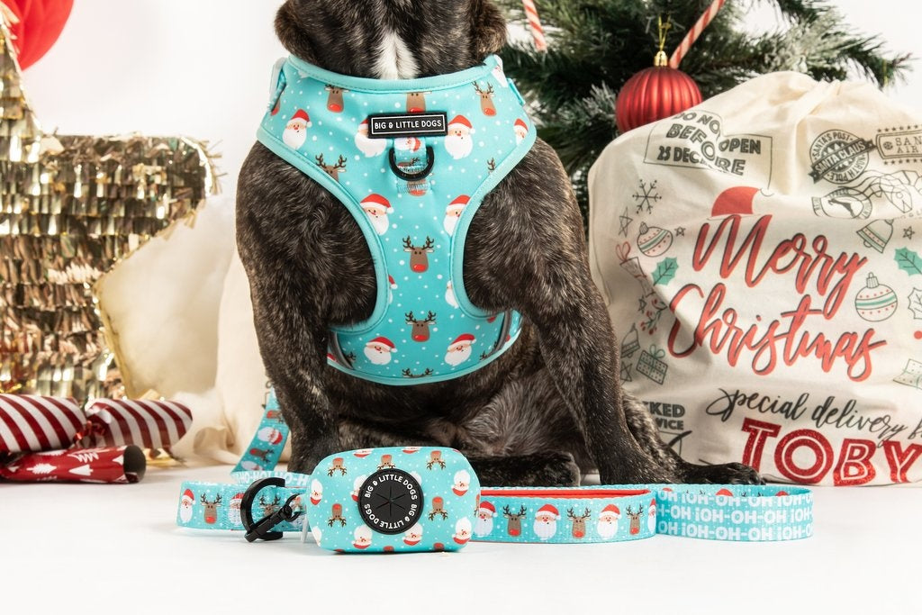 Big and Little Dogs Lijn Santa's Reindeers - Premium hondenriem > hondenlijn from Big and Little Dogs - Just €10! Shop now at Frenkiezdogshop