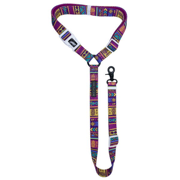 Big and Little Dogs premium autogordel Aztec - Premium Autogordel > Autoriem from Big and Little Dogs - Just €10! Shop now at Frenkiezdogshop