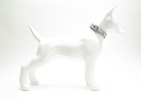 Multi Collar Prism Python Elite Style Strap - Premium Buddy Belts from Buddy Belts - Just €2! Shop now at Frenkiezdogshop