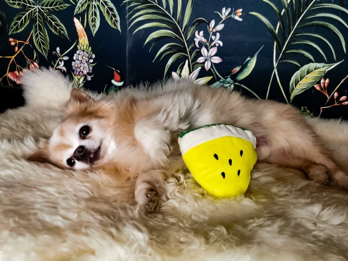 Frenkiez Fruitz Melon Hondenspeeltje > Hondenspeelgoed Standaard/One Size