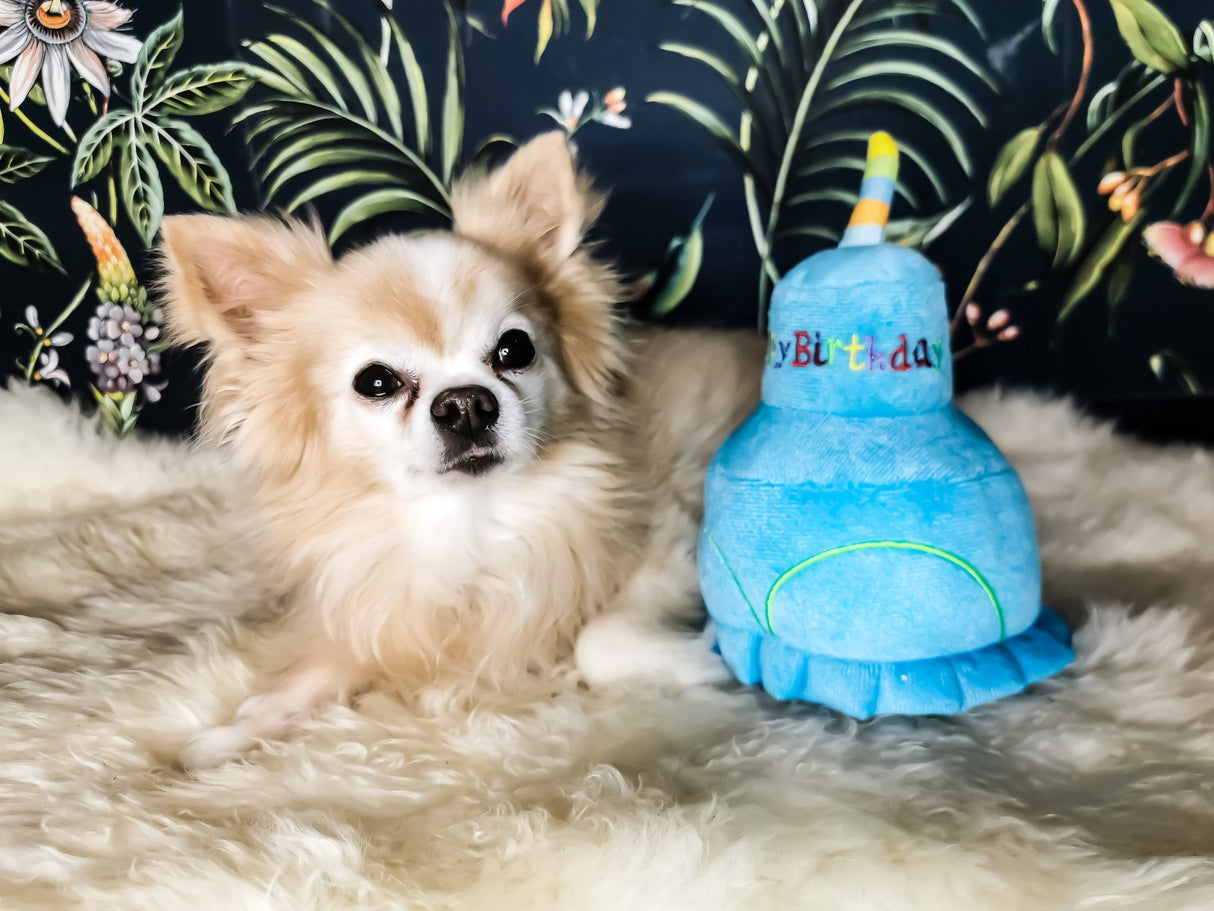 Frenkiez Partyz Cake Blue - Premium Hondenspeeltje > Hondenspeelgoed from Frenkiez - Just €9.99! Shop now at Frenkiezdogshop