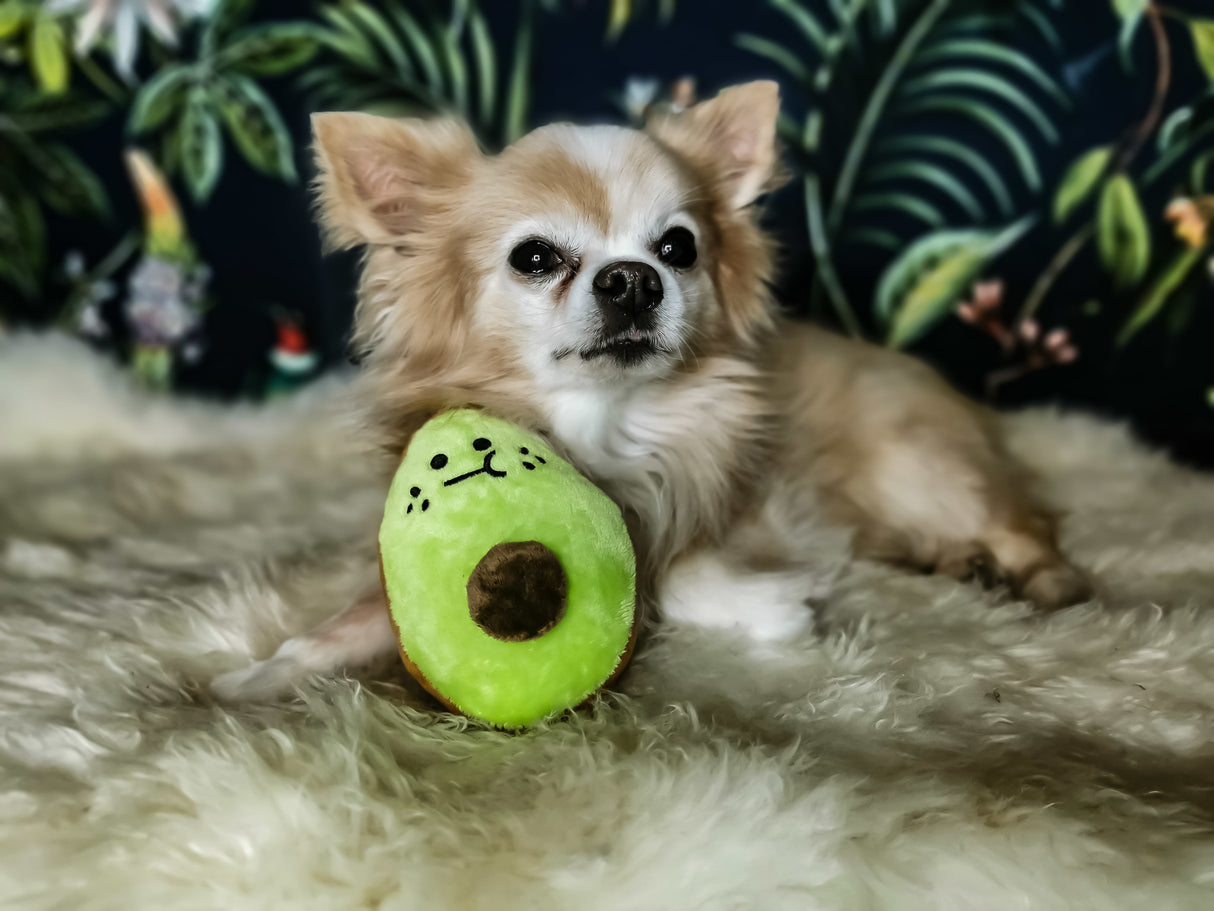 Frenkiez Veggiez Advocado - Premium Hondenspeeltje > Hondenspeelgoed from Frenkiez - Just €5! Shop now at Frenkiezdogshop