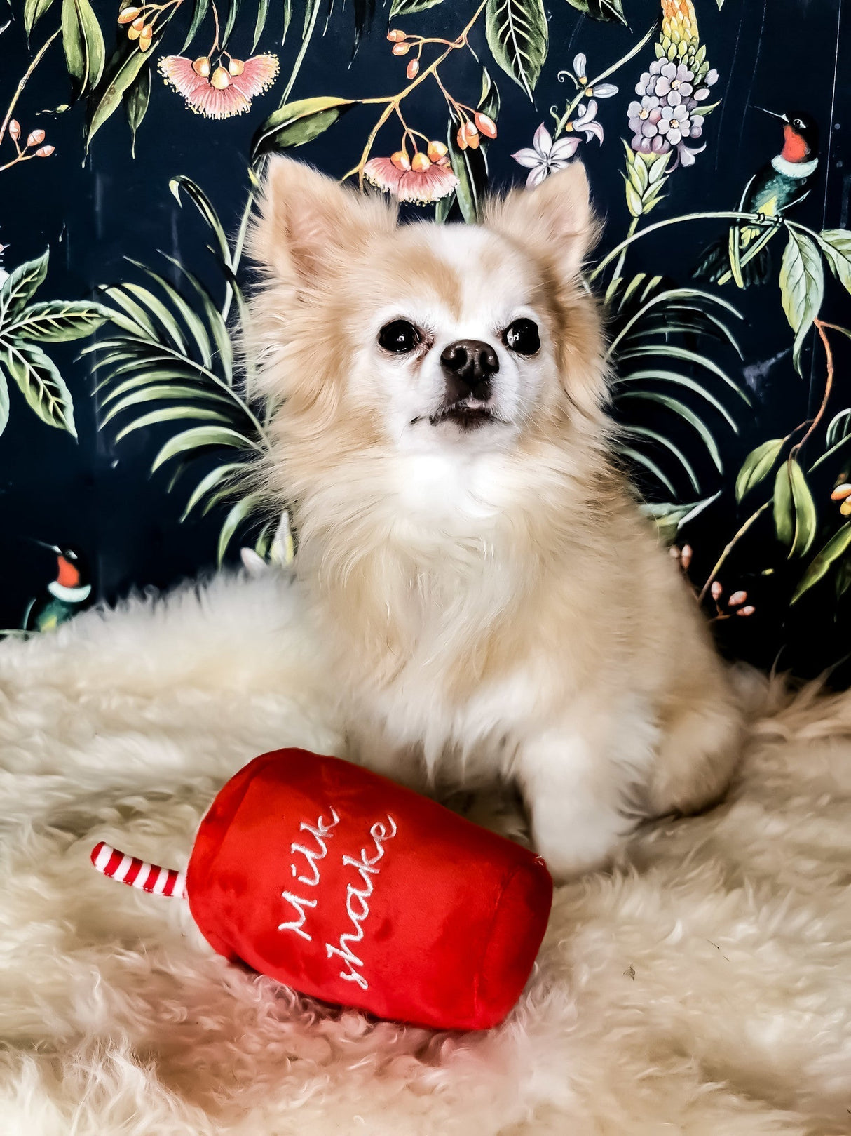 Frenkiez Sweetz Milkshake - Premium Hondenspeeltje > Hondenspeelgoed from Frenkiez - Just €5! Shop now at Frenkiezdogshop