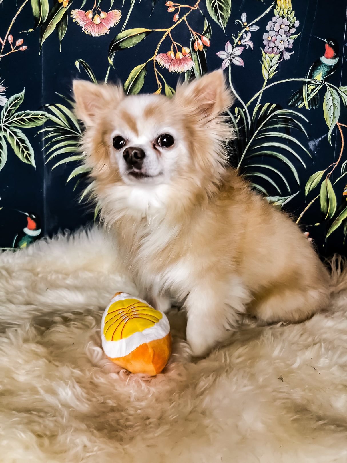 Frenkiez Fruitz Orange - Premium Hondenspeeltje > Hondenspeelgoed from Frenkiez - Just €5! Shop now at Frenkiezdogshop