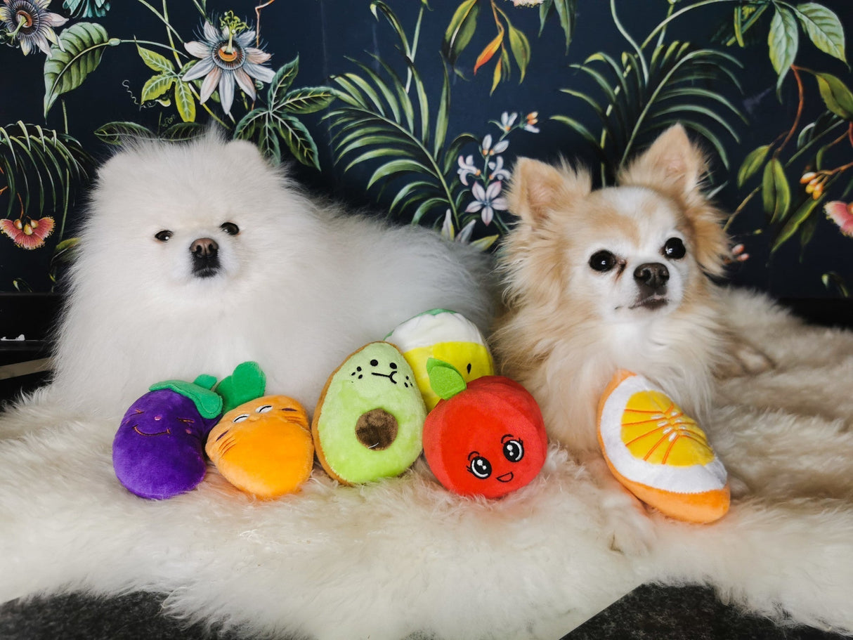 Frenkiez Fruitz Orange - Premium Hondenspeeltje > Hondenspeelgoed from Frenkiez - Just €5! Shop now at Frenkiezdogshop