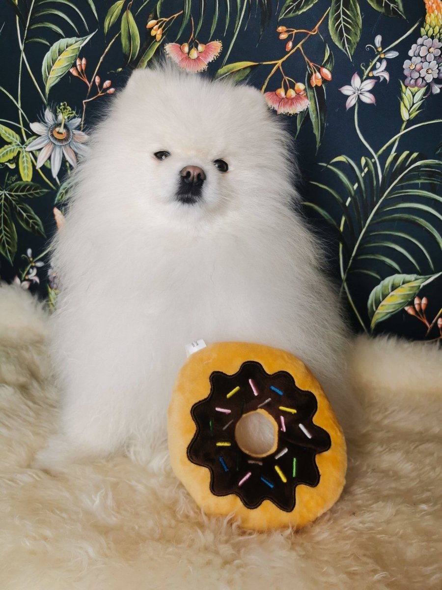 Frenkiez Sweetz Brown Donut Hondenspeeltje > Hondenspeelgoed one - size