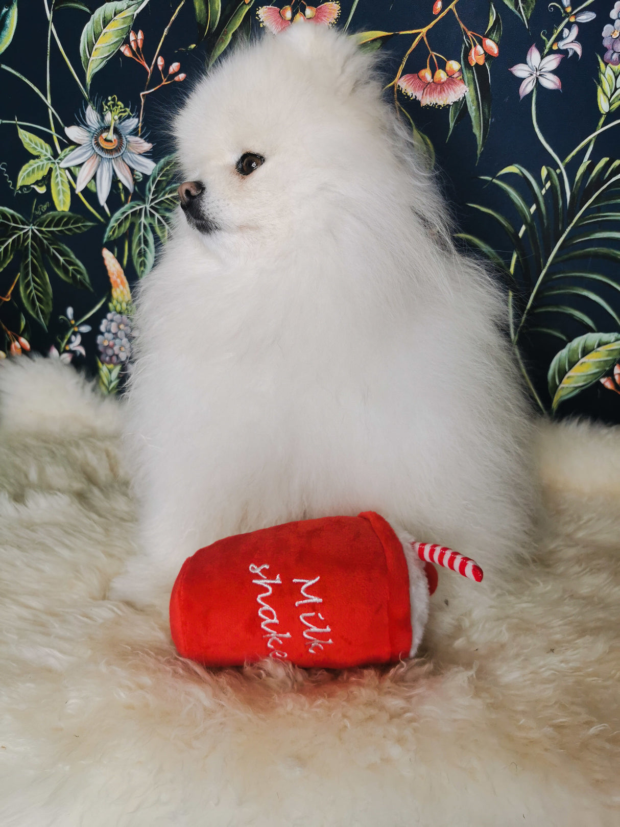 Frenkiez Sweetz Milkshake - Premium Hondenspeeltje > Hondenspeelgoed from Frenkiez - Just €5! Shop now at Frenkiezdogshop