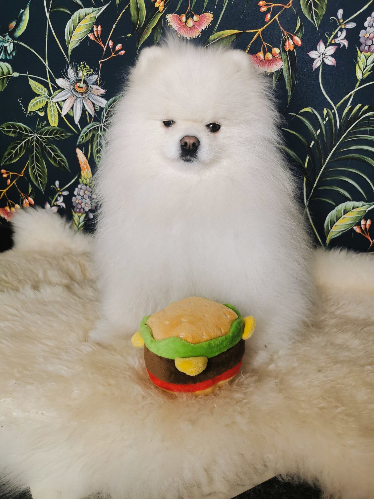 Frenkiez Snackz Hamburger - Premium Hondenspeeltje > Hondenspeelgoed from Frenkiez - Just €5! Shop now at Frenkiezdogshop